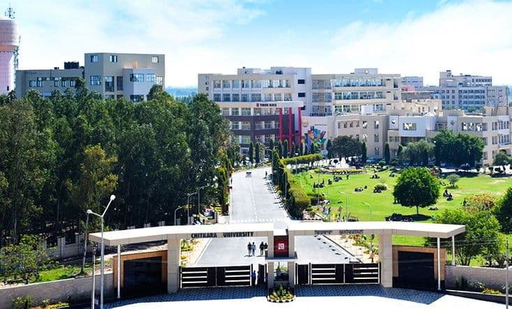 Chitkara University