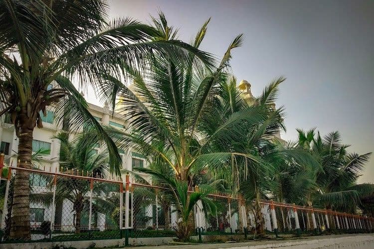 Sharnbasva University
